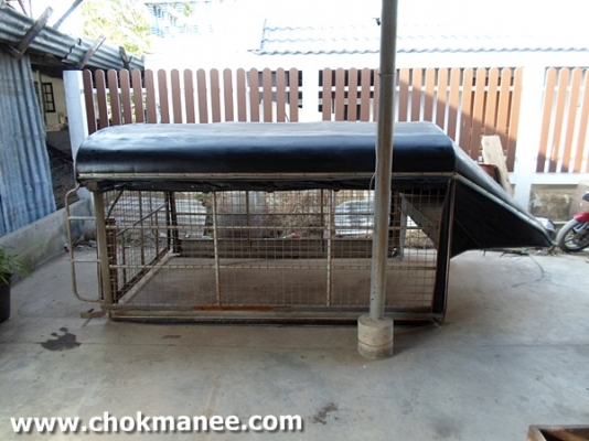 ขายหลังคารถตอนเดียว