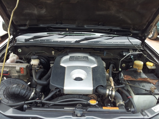 ขอขาย โคโรลาโด้...สวยๆ...ถูกๆ..ครับ