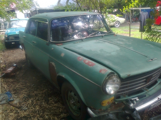 ขายเปอร์404 ปลาทะเบียนครบ ขายเปอร์404 ปลาทะเบียนครบ