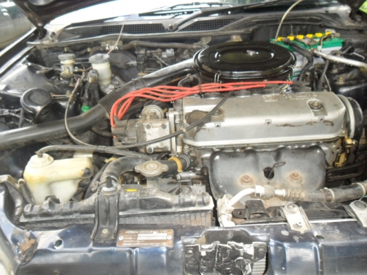 ขายซีวิค ขายซีวิค