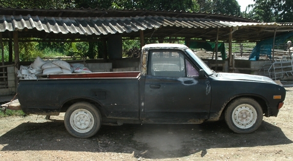 ขายช้างเหยียบ 4 ขอไฟนอน