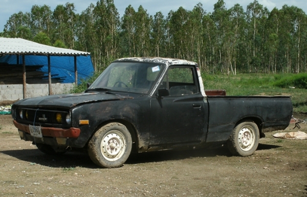 ขายช้างเหยียบ 4 ขอไฟนอน