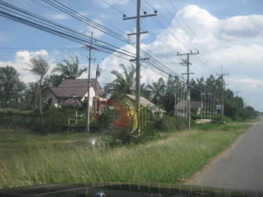 ขายบ้านสไตล์รีสอร์ท เนื้อที่ 100 ตรว. หมู่บ้านติดถนนใหญ่ ด่านเกวียน-โชคชัย ขายบ้านสไตล์รีสอร์ท เนื้อที่ 100 ตรว. หมู่บ้านติดถนนใหญ่ ด่านเกวียน-โชคชัย