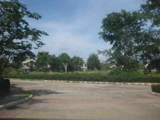 ขายบ้านสไตล์รีสอร์ท เนื้อที่ 100 ตรว. หมู่บ้านติดถนนใหญ่ ด่านเกวียน-โชคชัย ขายบ้านสไตล์รีสอร์ท เนื้อที่ 100 ตรว. หมู่บ้านติดถนนใหญ่ ด่านเกวียน-โชคชัย