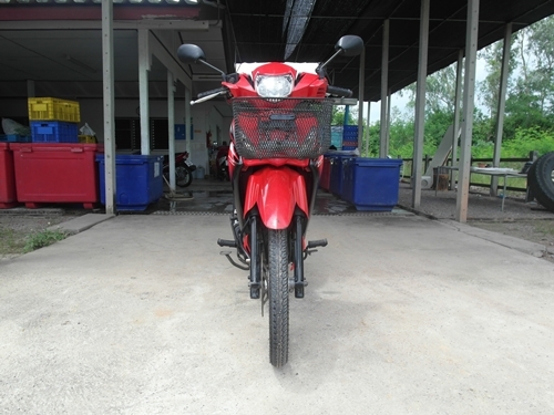 เวฟ X125 สตาร์มือ ปี50 นางฟ้า