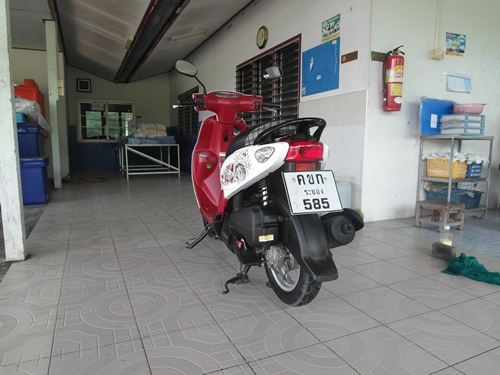 ฟีโอเล่ ปี 54 ขาวแดง นางฟ้า