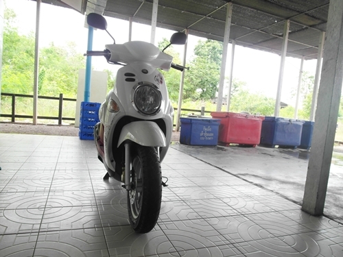 ฟีโอเล่ ปี 54 ขาวแดง นางฟ้า