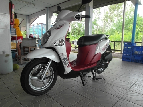 ฟีโอเล่ ปี 54 ขาวแดง นางฟ้า