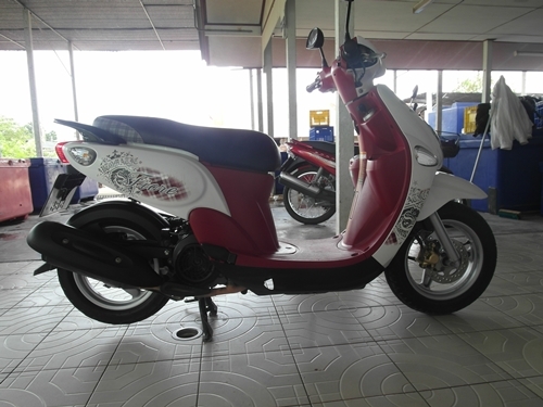 ฟีโอเล่ ปี 54 ขาวแดง นางฟ้า