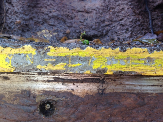 KOBELCO MARK III SK-200 Serial 17,349 เก๋งเทาแท้ รถบอดี้สวยช่วงล่างเอวใหม่โซ่เต็มดีพร้อมใช้งานได้เลย เครื่องเดิมปั๊มเดิมแห้งดีแรงดีไม่มีเยิ้ม ทำงานเร็วไม่มีโหลด ภายในเก๋งสะอาดคอนโทรลง่าย ภายนอกสวยทรงดี ช่วงล่างแน่นสภาพดี 80\% พร้อมทำงานได้เลย เอกสารสัญญาซื