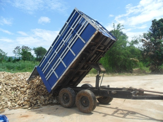 ขายแล้ว เทลเลอร์ดั้มพ์เกษตร  2คาน4ล้อ ขอบ16"  กระบะเหล็กคอกสูง ขนพืชไร่ได้เลย ขอบคุณ คุณป้อง สระบุรีมากครับ