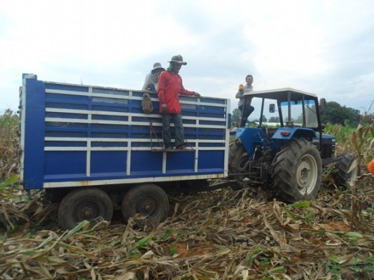 ขายแล้ว เทลเลอร์ดั้มพ์เกษตร  2คาน4ล้อ ขอบ16"  กระบะเหล็กคอกสูง ขนพืชไร่ได้เลย ขอบคุณ คุณป้อง สระบุรีมากครับ