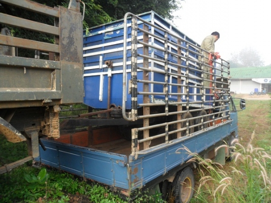 ขายแล้ว เทลเลอร์ดั้มพ์เกษตร  2คาน4ล้อ ขอบ16"  กระบะเหล็กคอกสูง ขนพืชไร่ได้เลย ขอบคุณ คุณป้อง สระบุรีมากครับ