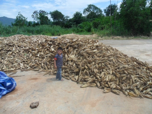 ขายแล้ว เทลเลอร์ดั้มพ์เกษตร  2คาน4ล้อ ขอบ16"  กระบะเหล็กคอกสูง ขนพืชไร่ได้เลย ขอบคุณ คุณป้อง สระบุรีมากครับ