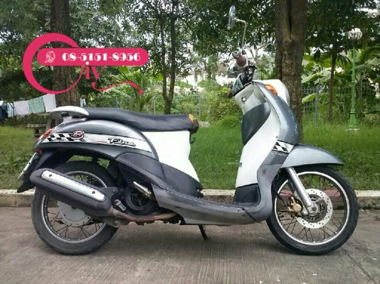 ขาย FINO ปี 51 ขายถูกเครื่องดี ท้าให้ลองขับ รถเดิมทุกส่วน ราคาคุยได้ ขาย FINO ปี 51 ขายถูกเครื่องดี ท้าให้ลองขับ รถเดิมทุกส่วน ราคาคุยได้