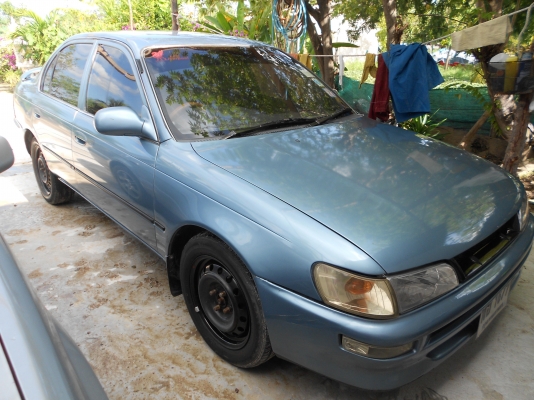 ขายตัดสดสามห่วงถูกๆตามสภาพ 083-1172355