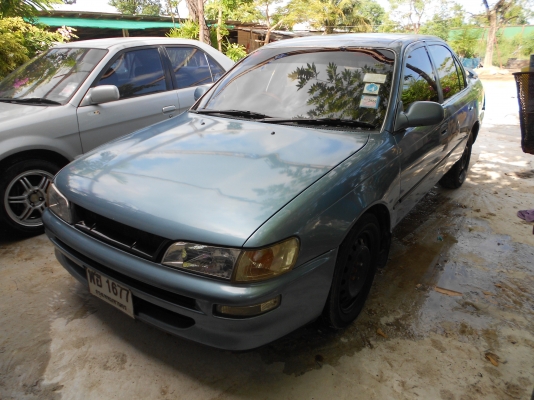 ขายตัดสดสามห่วงถูกๆตามสภาพ 083-1172355