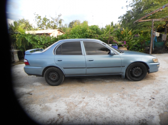 ขายตัดสดสามห่วงถูกๆตามสภาพ 083-1172355