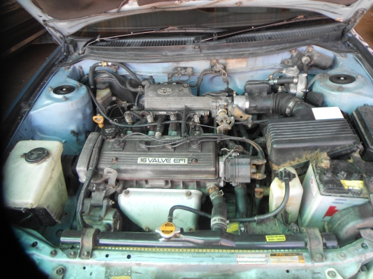 ขายตัดสดสามห่วงถูกๆตามสภาพ 083-1172355