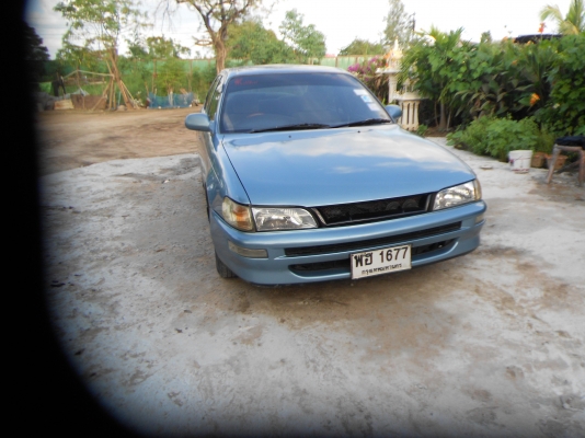 ขายตัดสดสามห่วงถูกๆตามสภาพ 083-1172355