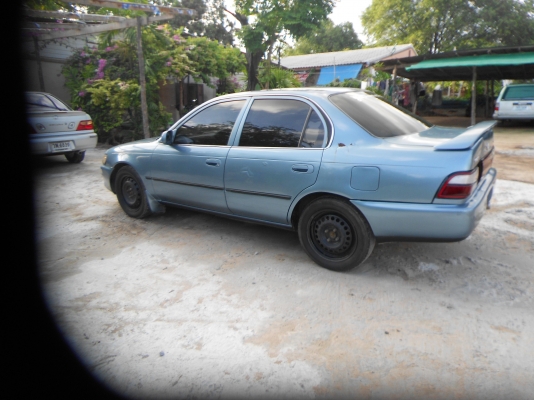 ขายตัดสดสามห่วงถูกๆตามสภาพ 083-1172355