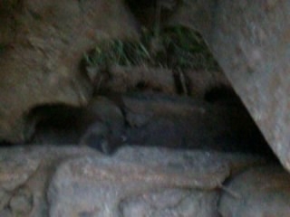 ขายรถแมคโคร KOMATSU PC230LC-3