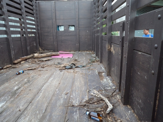 ขายรถ6ล้ออีซูซุNKR110แรง สภาพดี พร้อมใช้งานคับ