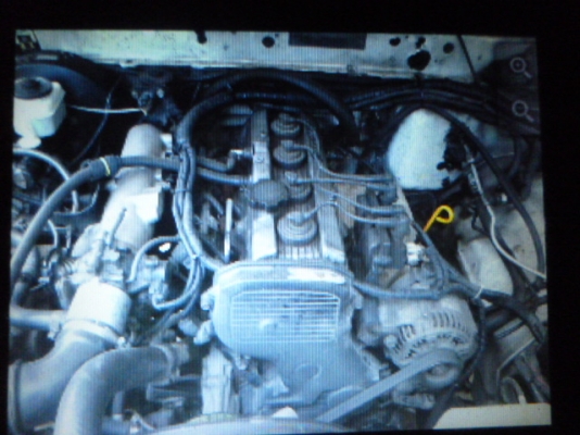 ขายด่วนโตโยต้าไมตี้แคร้ป