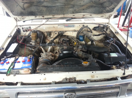 ขาย MIGHTY-Xเอาใว้ค้า ขาย