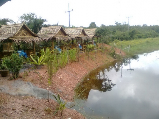 ขายด่วน กิจการสวนอาหาร พร้อมบ้าน ที่ดิน