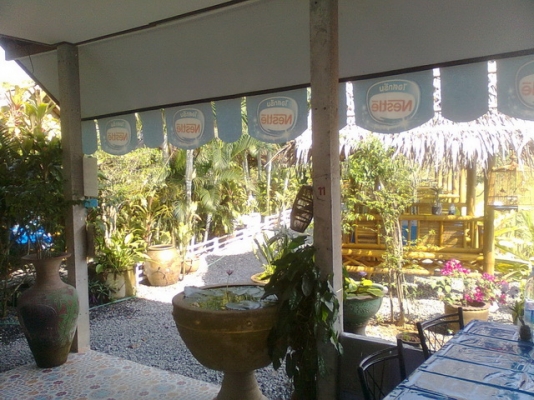 ขายด่วน กิจการสวนอาหาร พร้อมบ้าน ที่ดิน ขายด่วน กิจการสวนอาหาร พร้อมบ้าน ที่ดิน