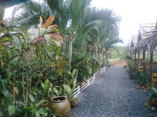 ขายด่วน กิจการสวนอาหาร พร้อมบ้าน ที่ดิน ขายด่วน กิจการสวนอาหาร พร้อมบ้าน ที่ดิน