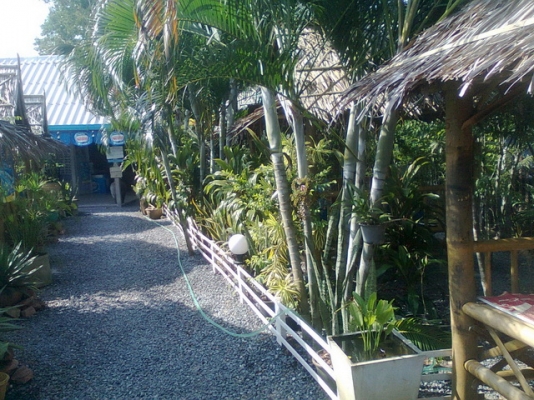 ขายด่วน กิจการสวนอาหาร พร้อมบ้าน ที่ดิน ขายด่วน กิจการสวนอาหาร พร้อมบ้าน ที่ดิน