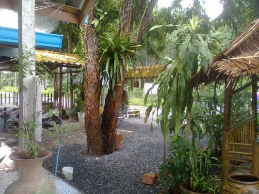 ขายด่วน กิจการสวนอาหาร พร้อมบ้าน ที่ดิน ขายด่วน กิจการสวนอาหาร พร้อมบ้าน ที่ดิน