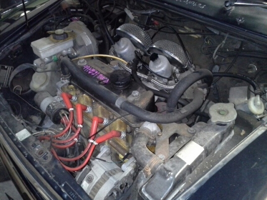 ขายหัวตัด MINI