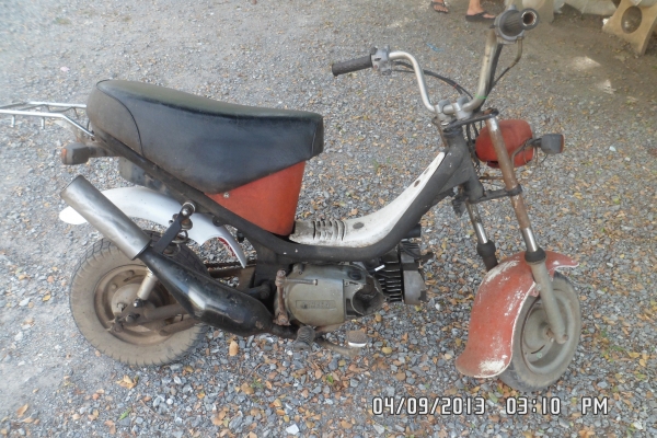 yamaha chippy ราคาถูก