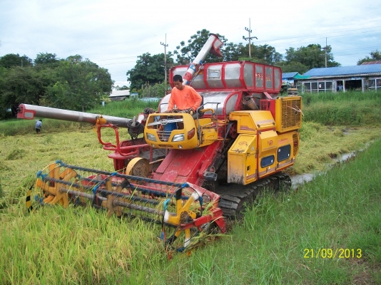 ขายรถเกี่ยวข้าวศักดิ์พัฒนา SS50