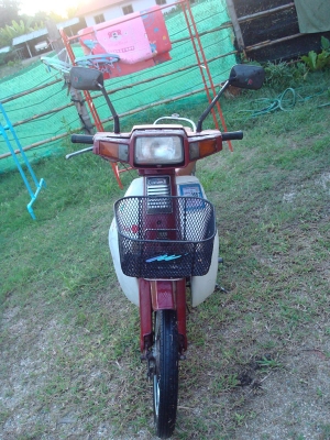 ขายถูกๆฮอนด้า คัสต้อม