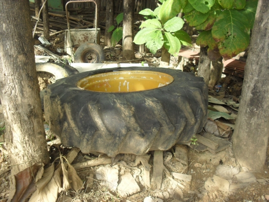 กระทะล้อ /หลัง JCB  พร้อมยาง/แท้