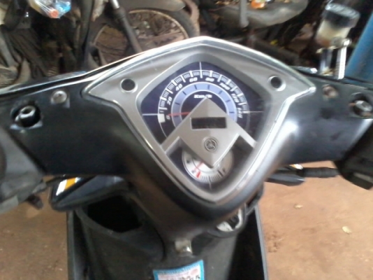 มีโอปี50 ตาโตเเปลงสองตา