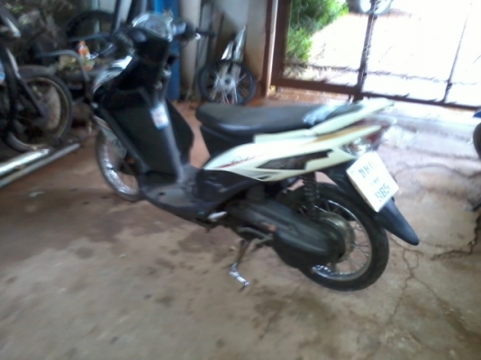 มีโอปี50 ตาโตเเปลงสองตา