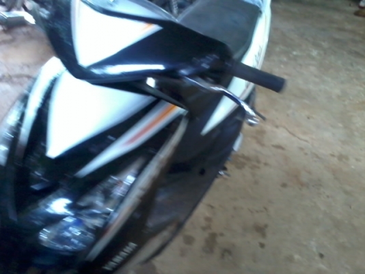 มีโอปี50 ตาโตเเปลงสองตา