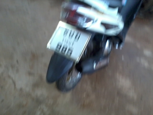 มีโอปี50 ตาโตเเปลงสองตา