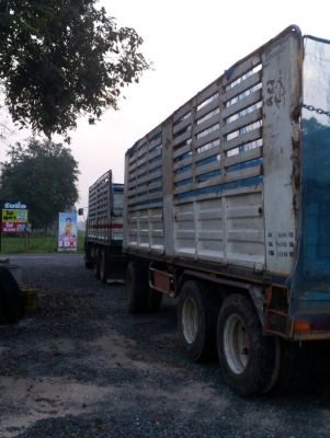 ขายดาวน์ hino 3 m ราคาถูกเพียง 250,000 เท่านั้น