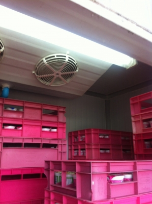 ตู้แช่ตั้งพื้น_ใส่รถ ตู้แช่ตั้งพื้น_ใส่รถ