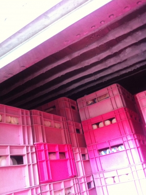 ตูู้้พื้นห้องเย็น-ติดรถ