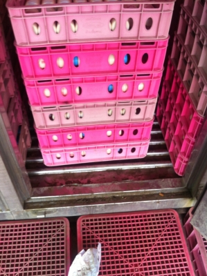 ตูู้้พื้นห้องเย็น-ติดรถ