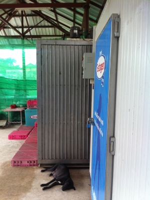 ตูู้้พื้นห้องเย็น-ติดรถ