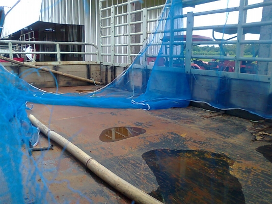 TOYOTA ไดน่า BU211 รถปี 39 เครื่อง 115 แรงม้า กระบะพื้นเหล็ก ยาว 4.5 เมตร รถสวยกริ๊บ มีทะเบียนครบ ราคาคุยได้.