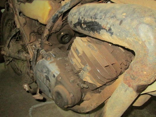 ขาย dt mono 125